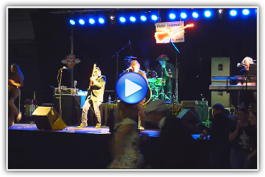 René and His Alligator Guitar Boogie